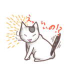 猫会話（Darume Cat's）（個別スタンプ：7）