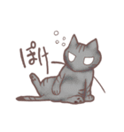 猫会話（Darume Cat's）（個別スタンプ：8）