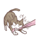 猫会話（Darume Cat's）（個別スタンプ：11）