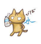 猫会話（Darume Cat's）（個別スタンプ：13）