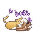 猫会話（Darume Cat's）（個別スタンプ：21）