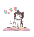 猫会話（Darume Cat's）（個別スタンプ：22）