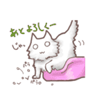 猫会話（Darume Cat's）（個別スタンプ：23）
