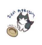 猫会話（Darume Cat's）（個別スタンプ：25）