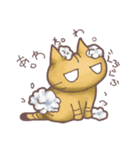 猫会話（Darume Cat's）（個別スタンプ：37）