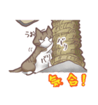 猫会話（Darume Cat's）（個別スタンプ：40）