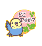 セキセイインコだらけ6（個別スタンプ：1）