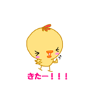 ぴーやん（個別スタンプ：37）