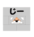 がぶがぶしばわんこ シバハチロウ（個別スタンプ：20）