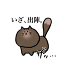 もちゃねこ（個別スタンプ：1）