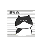 もちゃねこ（個別スタンプ：4）