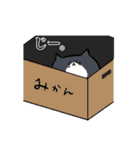 もちゃねこ（個別スタンプ：7）