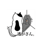 もちゃねこ（個別スタンプ：17）