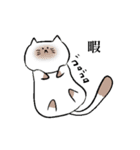もちゃねこ（個別スタンプ：40）