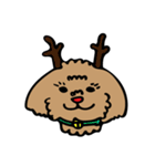 小林家のテディ（個別スタンプ：2）