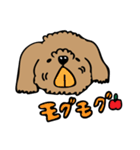 小林家のテディ（個別スタンプ：7）