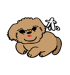 小林家のテディ（個別スタンプ：8）