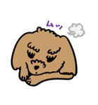 小林家のテディ（個別スタンプ：12）