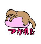 小林家のテディ（個別スタンプ：13）