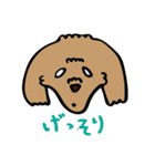 小林家のテディ（個別スタンプ：20）