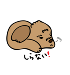 小林家のテディ（個別スタンプ：25）