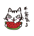 Nekomaru's wonderful life（個別スタンプ：3）