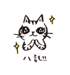 Nekomaru's wonderful life（個別スタンプ：19）