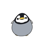 ペンギンのまつ（個別スタンプ：1）