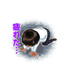 品川祥司（個別スタンプ：19）