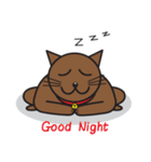 Simple Cat By Apple（個別スタンプ：40）