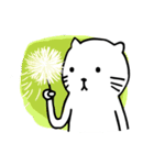 Shiro Daily Cat（個別スタンプ：10）