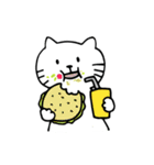 Shiro Daily Cat（個別スタンプ：14）