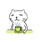 Shiro Daily Cat（個別スタンプ：16）
