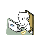Shiro Daily Cat（個別スタンプ：17）