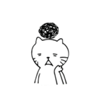 Shiro Daily Cat（個別スタンプ：25）