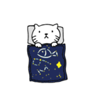 Shiro Daily Cat（個別スタンプ：31）