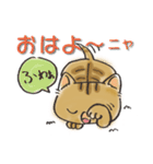 うちねこ【ムニエル編】（個別スタンプ：1）