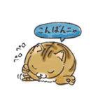 うちねこ【ムニエル編】（個別スタンプ：3）