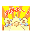 セキセイインコと仲間たち（個別スタンプ：1）