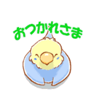 セキセイインコと仲間たち（個別スタンプ：3）