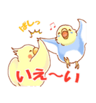 セキセイインコと仲間たち（個別スタンプ：6）
