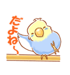 セキセイインコと仲間たち（個別スタンプ：9）
