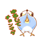 セキセイインコと仲間たち（個別スタンプ：19）