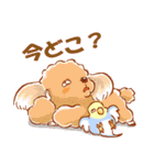 セキセイインコと仲間たち（個別スタンプ：20）