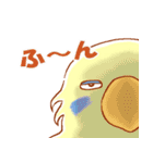 セキセイインコと仲間たち（個別スタンプ：23）