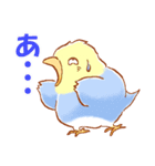 セキセイインコと仲間たち（個別スタンプ：24）