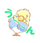 セキセイインコと仲間たち（個別スタンプ：31）