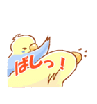 セキセイインコと仲間たち（個別スタンプ：34）