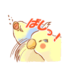 セキセイインコと仲間たち（個別スタンプ：35）