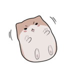 Berurun Fluffy Hamster（個別スタンプ：5）